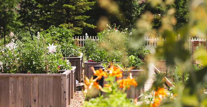 Luther Village on the Park Ontario Retirement Community Garden