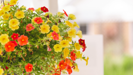 Flowers at Luther Village on the Park 